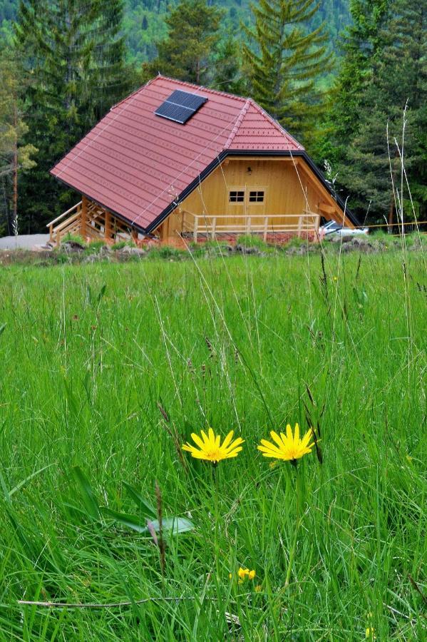 Kamp Beli Gaber Hotel Stari Trg pri Lozu Buitenkant foto